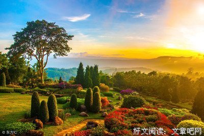 《我的花园》读后感摘抄