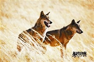 《法语(1)》读后感精选