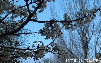 沉沦・春风沉醉的晚上读后感1000字