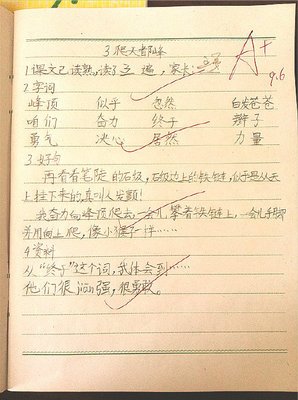 《天赐的声音 第二季》影评摘抄