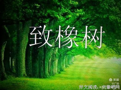 《舒婷的诗》读后感100字