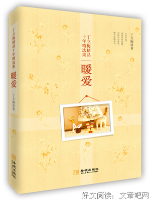 《丁真的世界》经典读后感有感