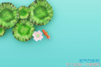 这些年我邂逅的文字好词好句