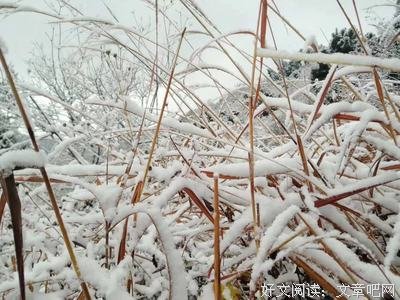 心简单点，人糊涂点，挺好