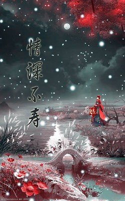 情深不寿。经典的句子