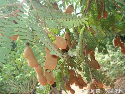 人，吃而不同。。。