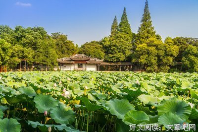 打孩出起你的全发去到不界实过优美的句子