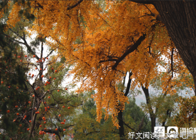 古风句子