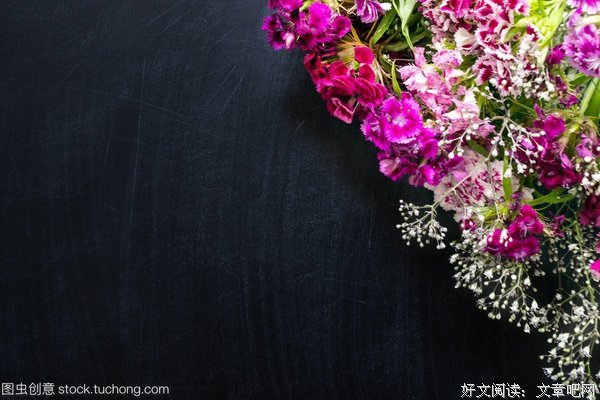 《小细腻》的句子