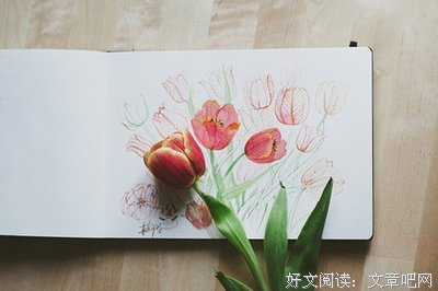 我的最爱优美的句子