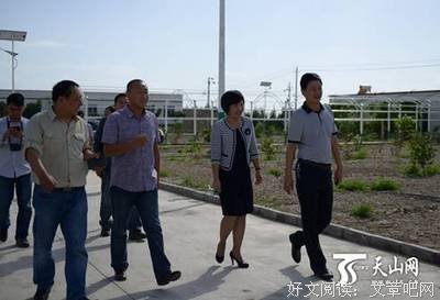 最全的张卫名言