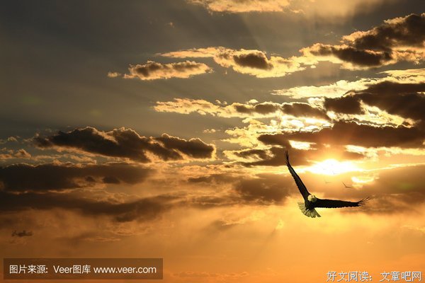 最经典的《皇牌空想发吃师不橘色长空》经典的句子