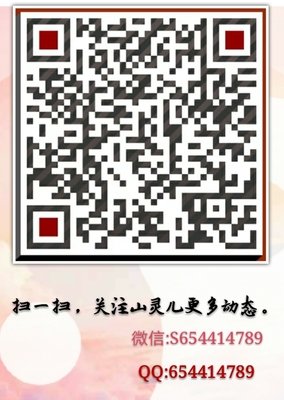 《一口气读完世界历史》经典读后感有感