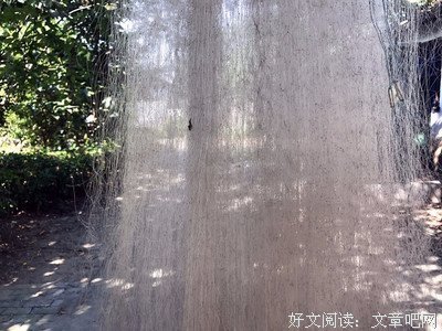 《迷楼》的读后感大全
