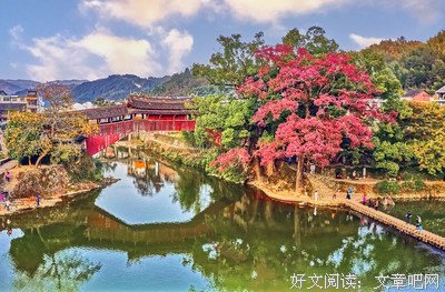 廊桥遗梦读后感100字