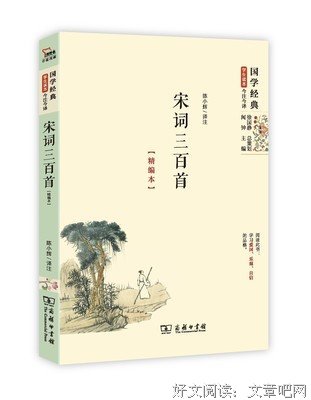 《审美之维》读后感100字