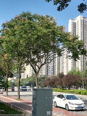 《如此美好的一天》的影评大全