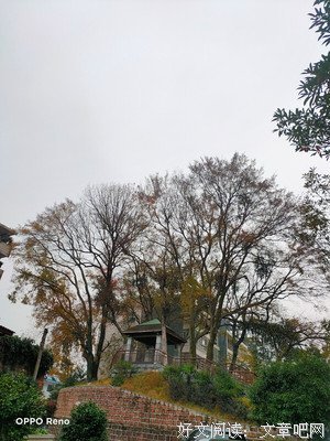 《南方有嘉木》经典读后感有感