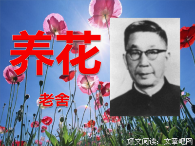 老舍幽默诗文集读后感100字