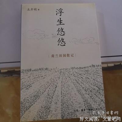 浮生悠悠读后感摘抄
