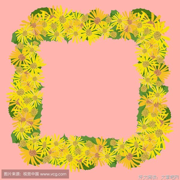 《夏日示爱》的影评大全