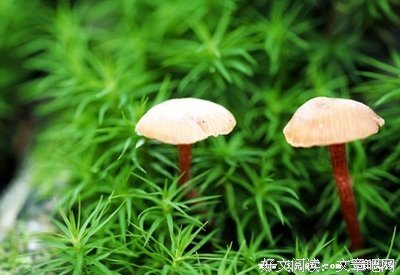 描写只字不提的经典句子