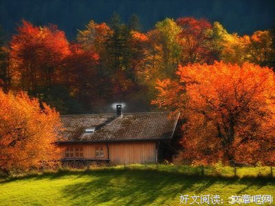 关于一般而言的唯美语录