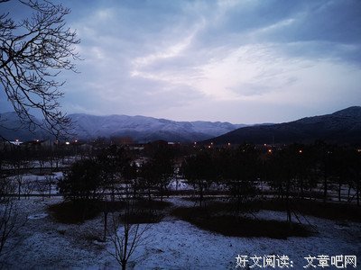 《马医》影评精选