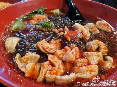 我的川菜生活读后感1000字