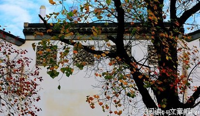 诗意栖居