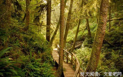 曼陀白花句子大全