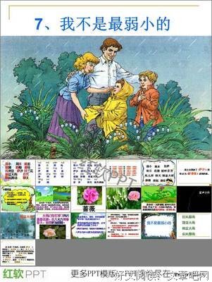蔷薇花的句子