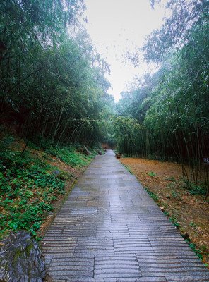 雨朦胧句子大全