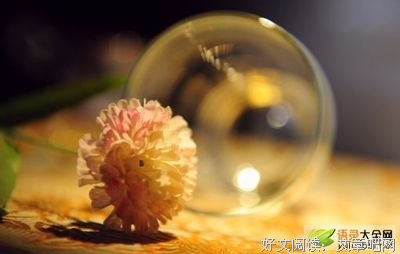 夜寂静的句子
