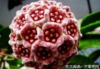 黑色曙光的优美句子
