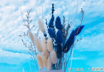 我有一碗酒，可以慰风尘好词好句