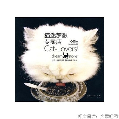 2019心岱名言