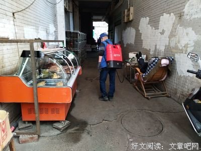 《生物她们事格的另一种美好》经典的句子