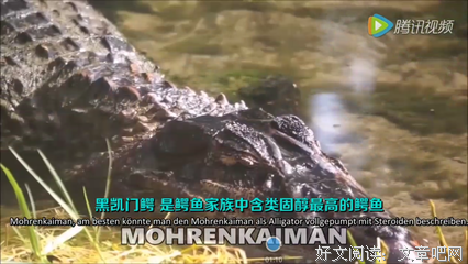 最新的《河流于不想而起么自》小说摘抄