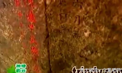 《南营洞1985》经典观后感集