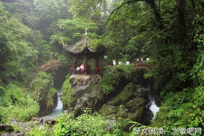 《白王后》的影评大全