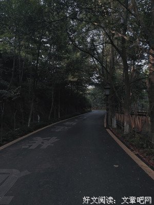 世事如烟读后感精选