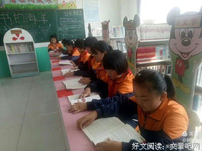 小鲍庄读后感锦集