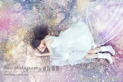 唯美主义者的舞蹈的读后感大全