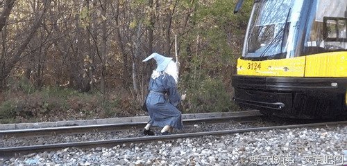 疯癫老人日记读后感锦集