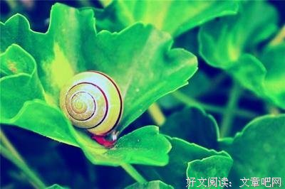 目空一切的语句摘抄_关于目空一切的语句