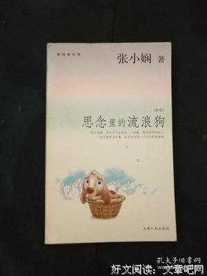 《思念里的流浪狗》读后感摘抄