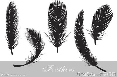 《飘落的羽毛》观后感精选