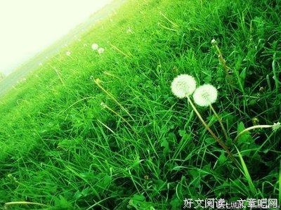 《旧时月色》的读后感大全
