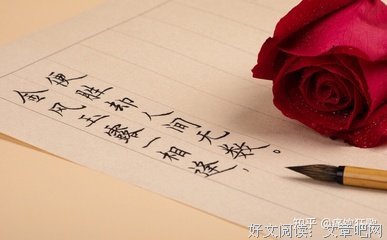 可引用的优美的句子